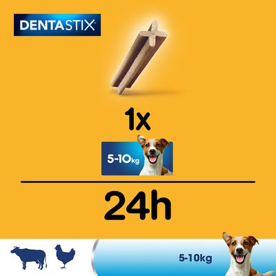 Zahnpflege Snack: Pedigree Dentastix für kleine Hunde (5-10 kg)