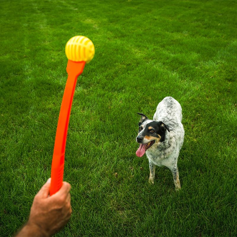 FLINGERZ™ Wurfspielzeug Ball zu TOP-Preisen