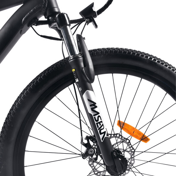 E-Mountainbike R6 Neo 26