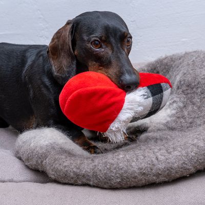 TIAKI Hundespielzeug Tartan-Hausschuh