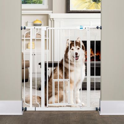 Carlson Absperrgitter Pet Gate extra hoch mit Katzentür