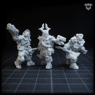 Veteran Stalkers Bodies (5)