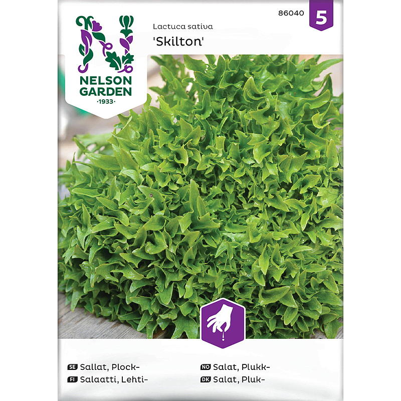 Nelson garden Frø Salat Plukk-, Skilton