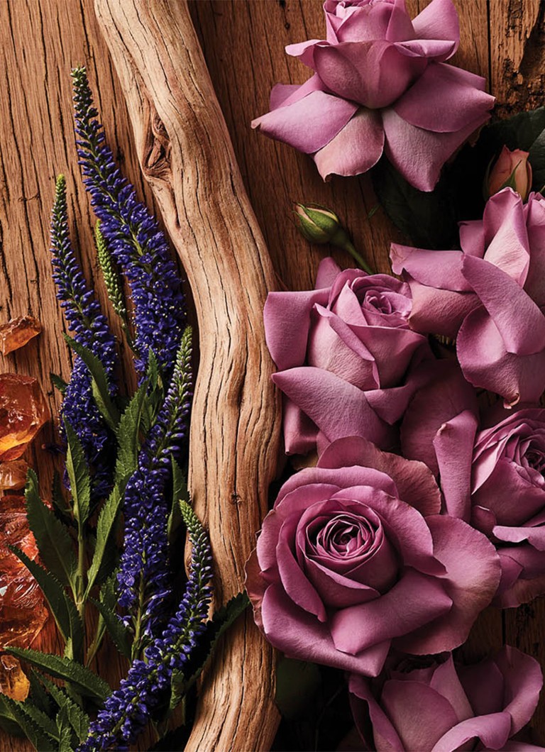 Bougie parfumée AERIN Ambre Musc Patchouli - Édition limitée 200 g