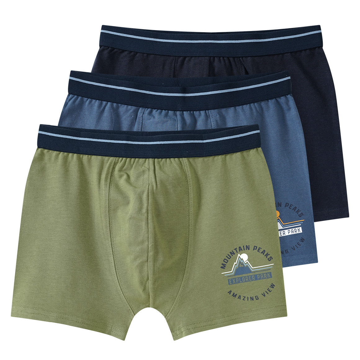 3 Jungen Boxer mit Webbund