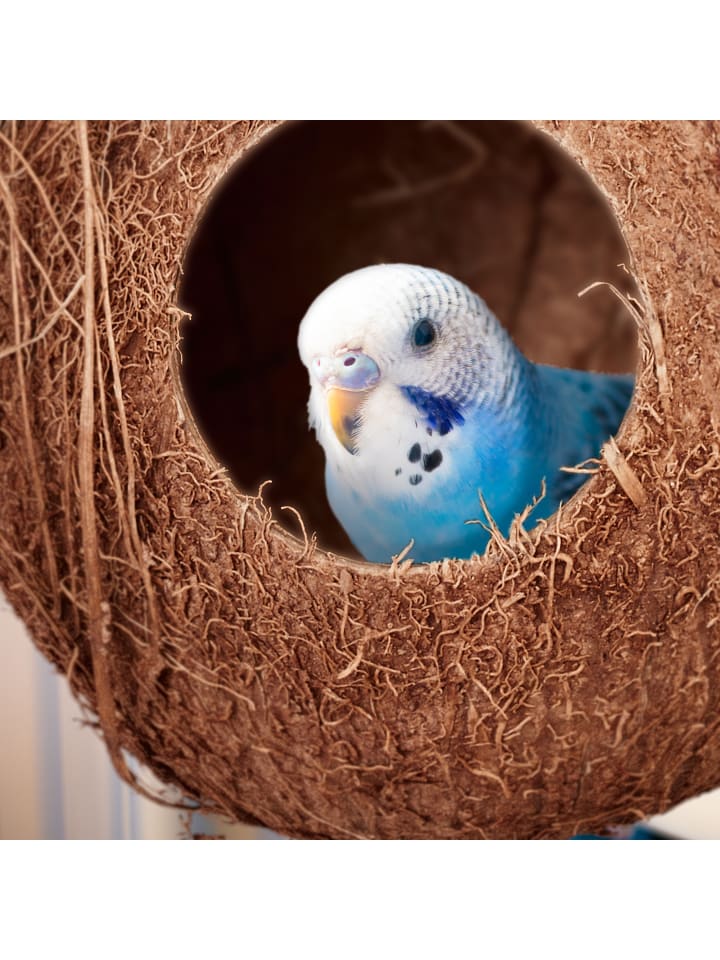 relaxdays 2 x Vogelhaus in Natur günstig kaufen onesize