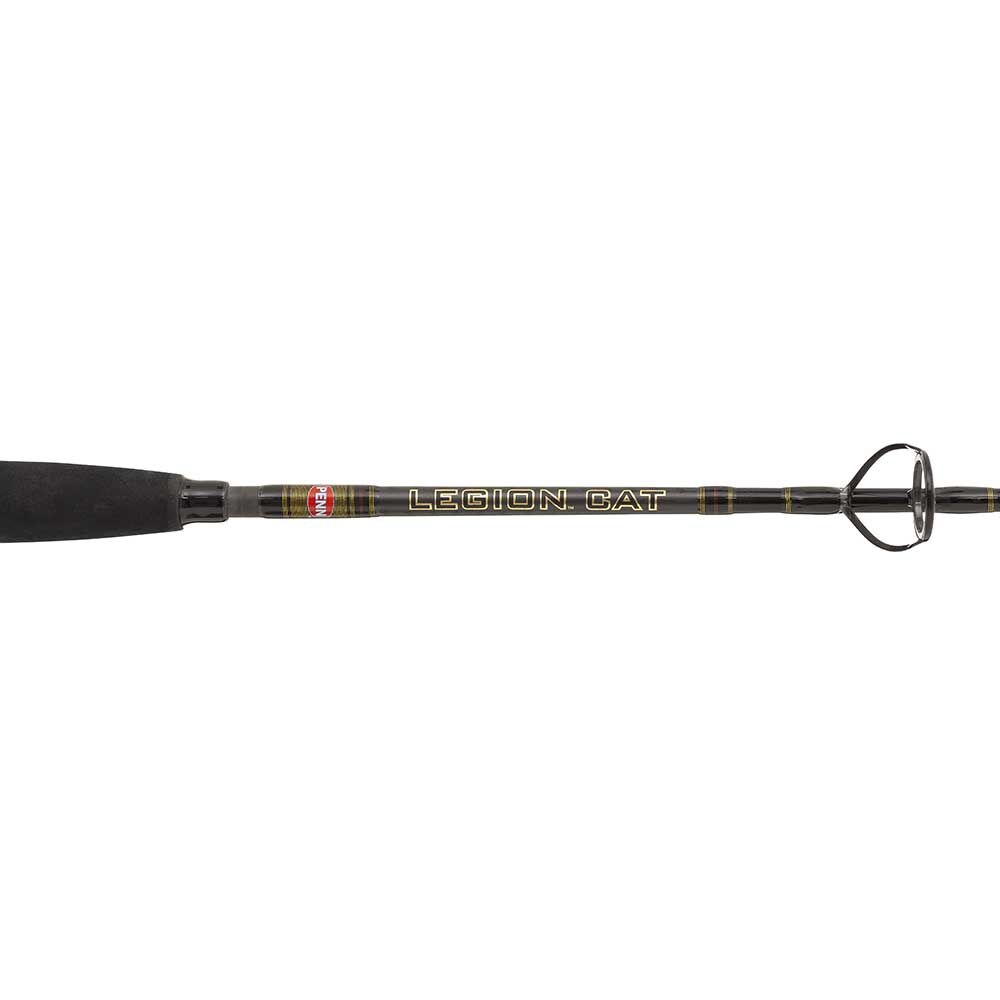 „Penn Legion Cat Gold“ pilvo pumpavimo meškerė 1,68 m 200 g