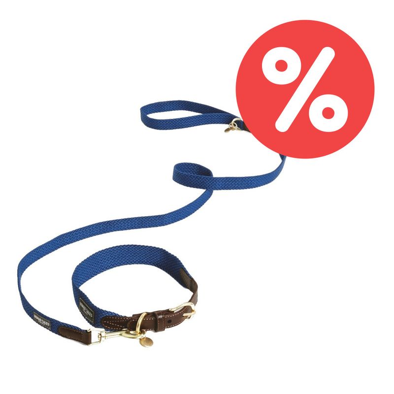 Sparset Nomad Tales Bloom Hundeleine + Halsband, sapphire | bitiba