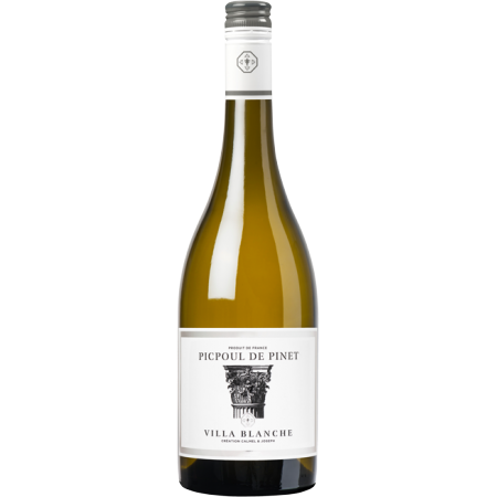 PICPOUL DE PINET 2021 - VILLA BLANCHE - CALMEL & JOSEPH