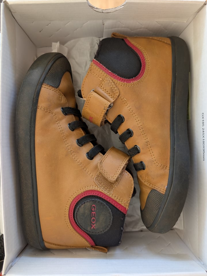 Geox Sneakers 