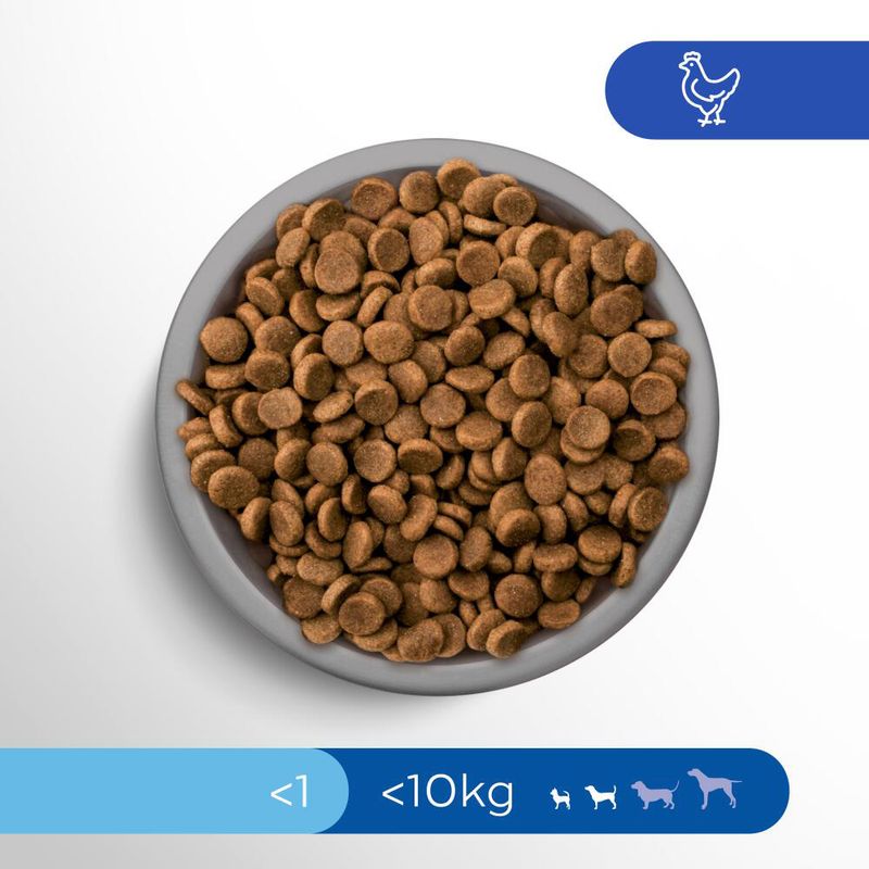 Perfect Fit Junior <1 (<10 kg) mit Huhn