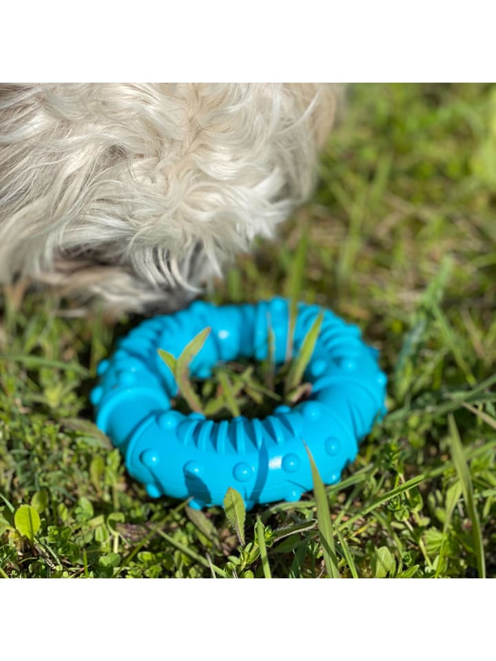 Intirilife Hunde Kauspielzeug 12,5 cm Kauring in Blau günstig kaufen onesize