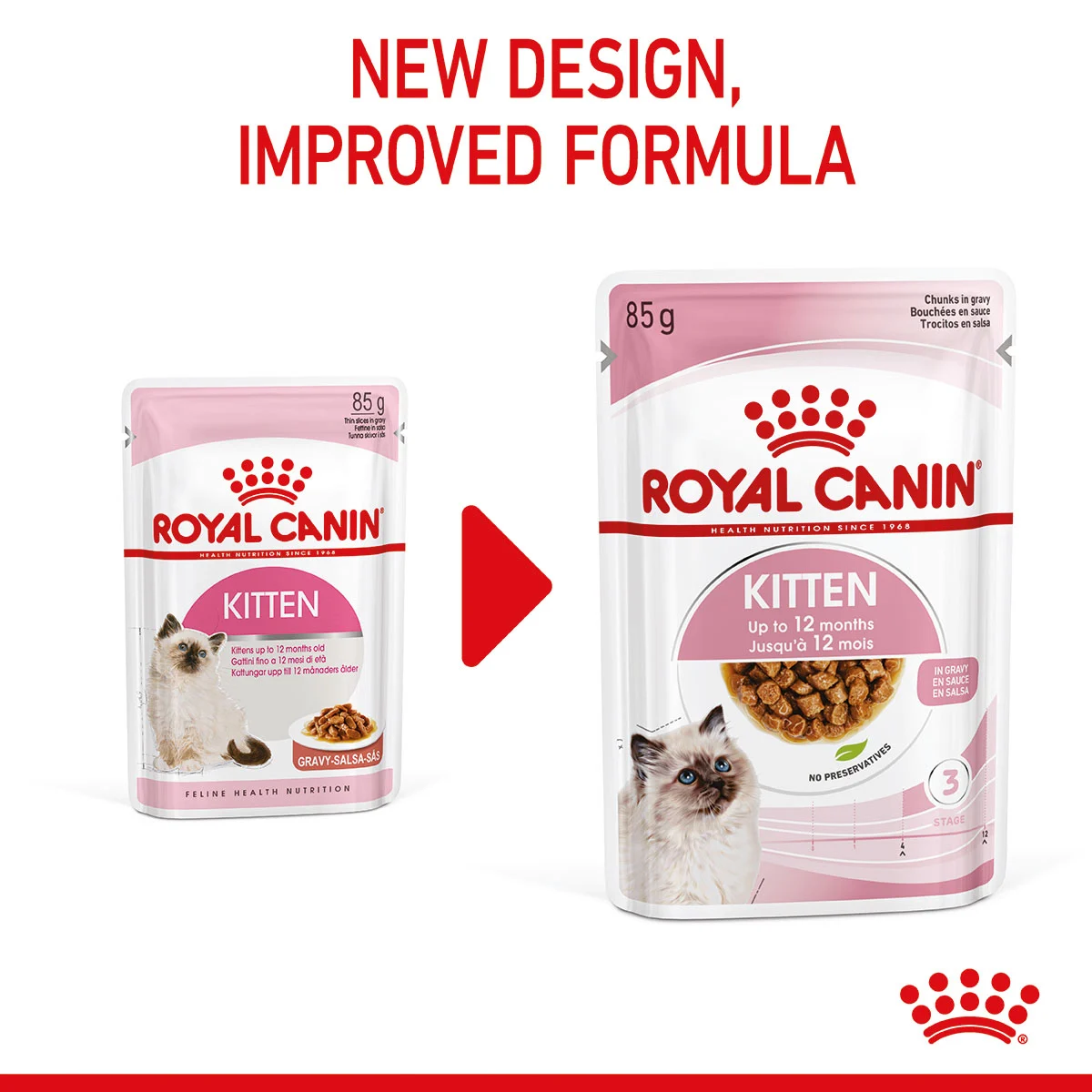ROYAL CANIN KITTEN Nassfutter in Soße für Kätzchen