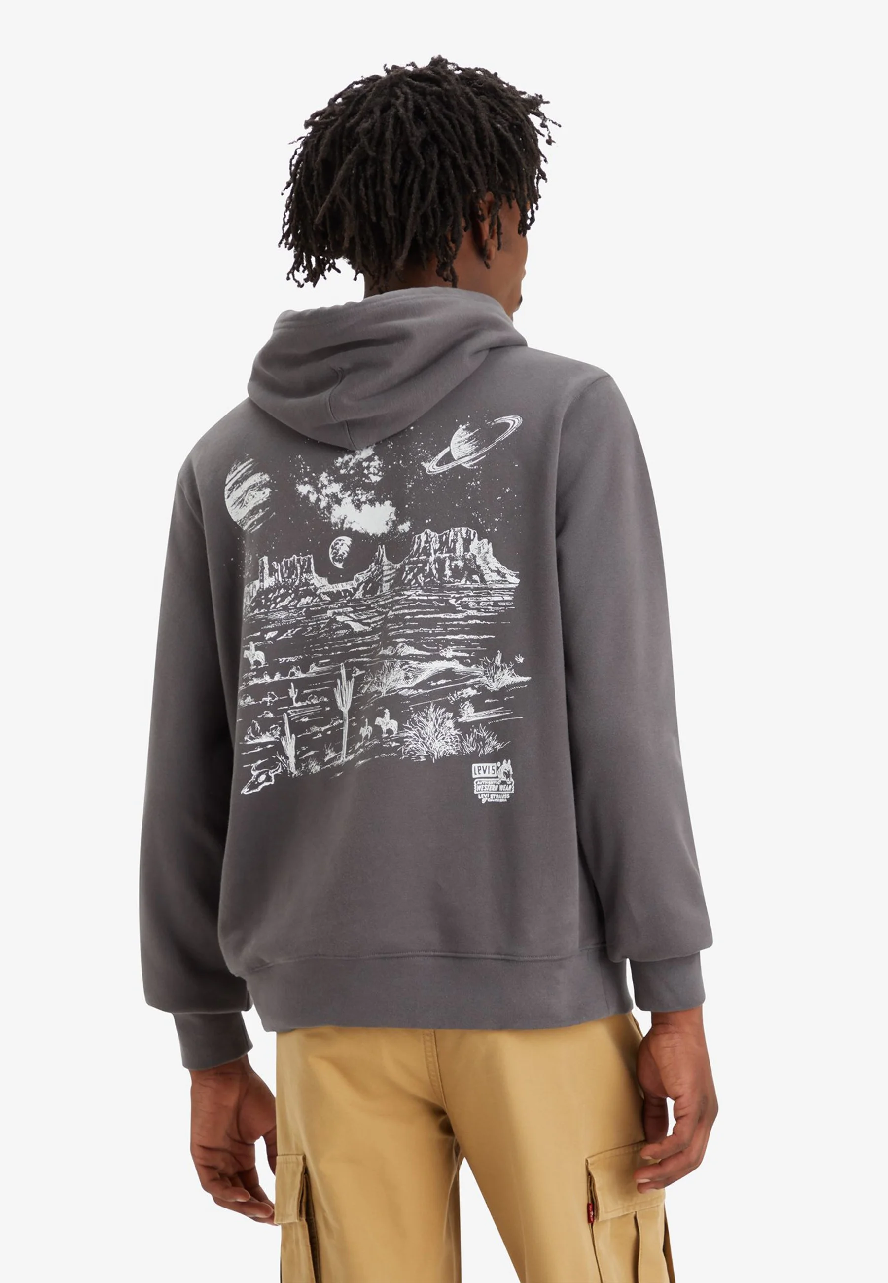 Sudadera con capucha Levi's® STANDARD GRAPHIC - Sudadera con capucha