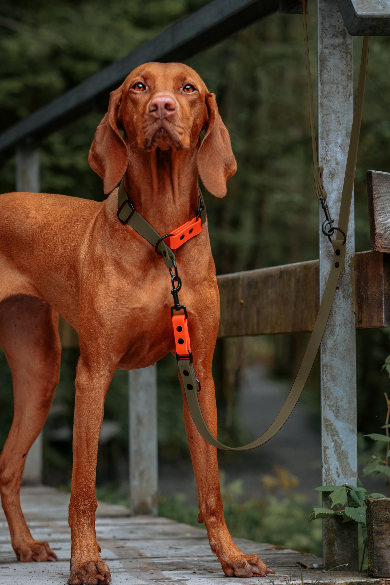 THE DOG IDEA Hundeleinen THE DOG IDEA Biothane Hundeleine Khaki neon orange