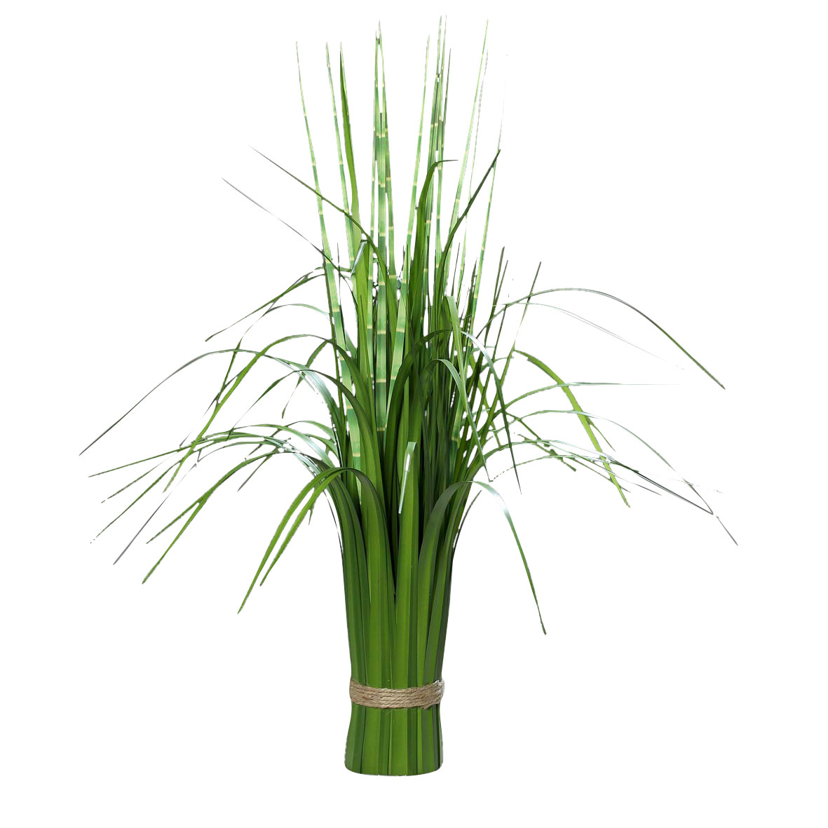 DPICalifornia Beach Stehgras 58cm