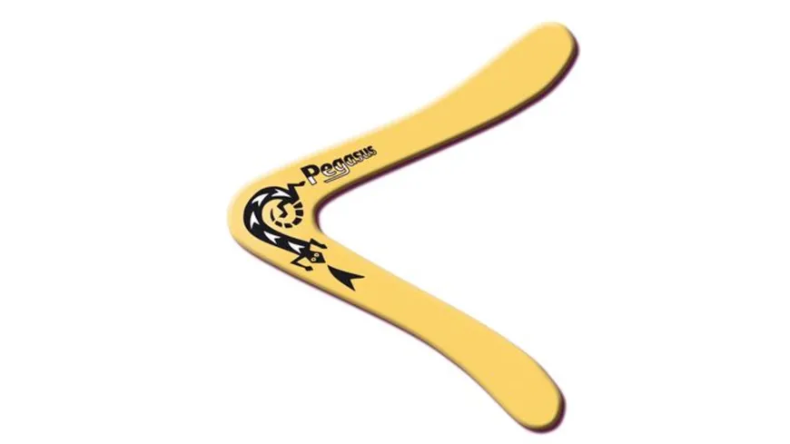 Günther Flugmodelle - Pegasus Boomerang