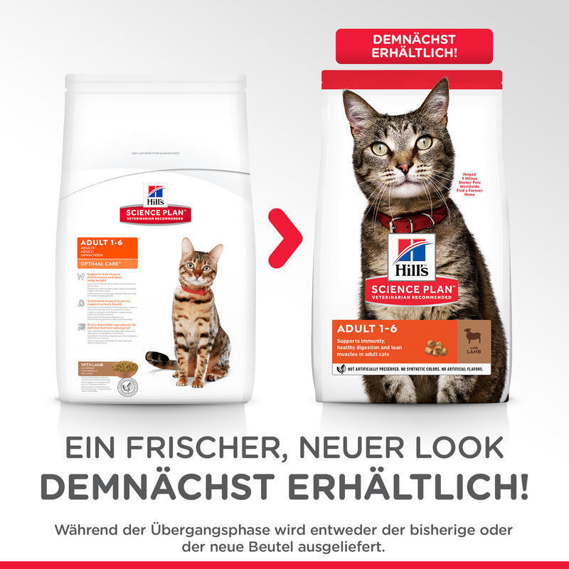 Hill's Trockenfutter Hill's Science Plan Adult Lamm & Reis 10 kg