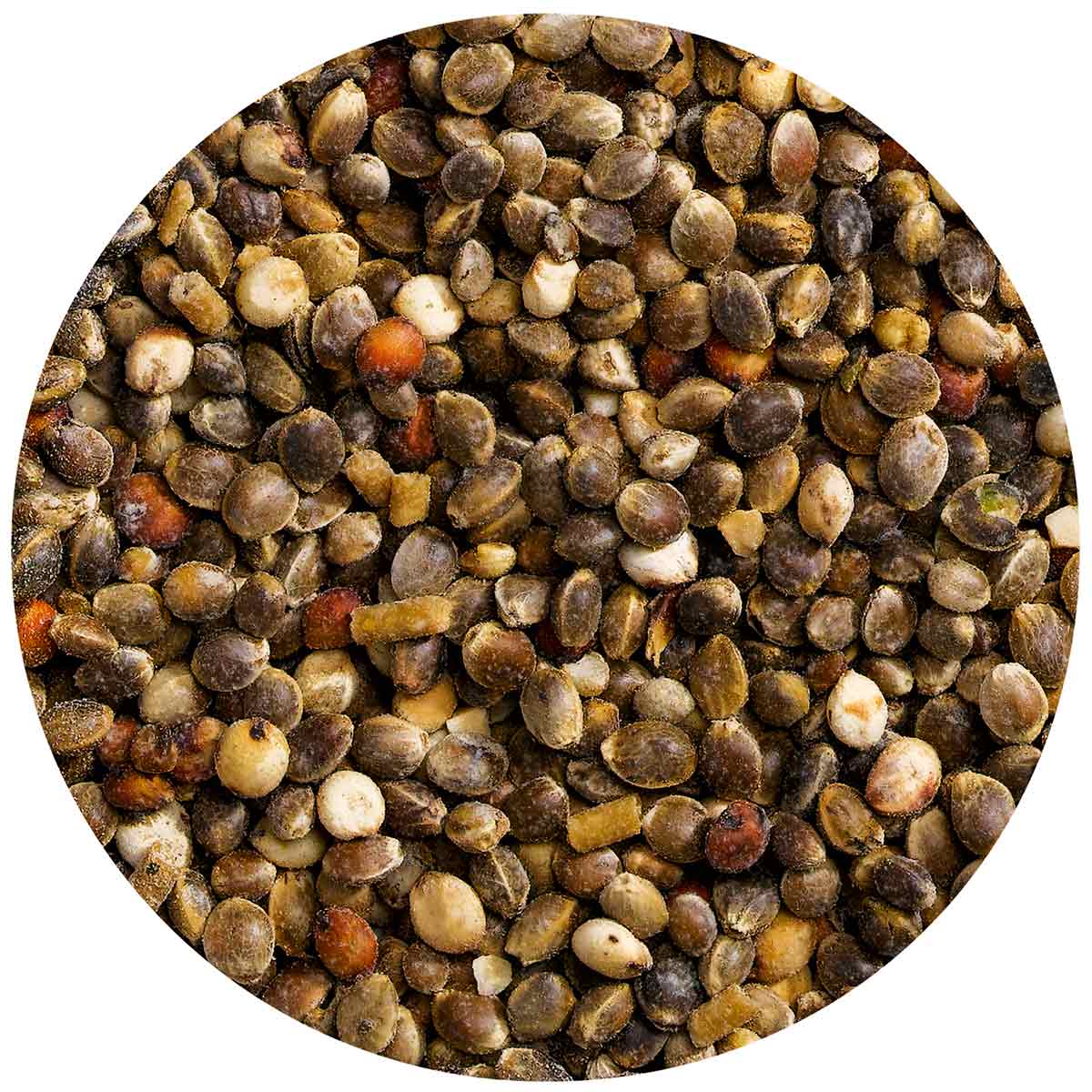 Vitakraft Mauserhilfe Großsittiche & Papageien