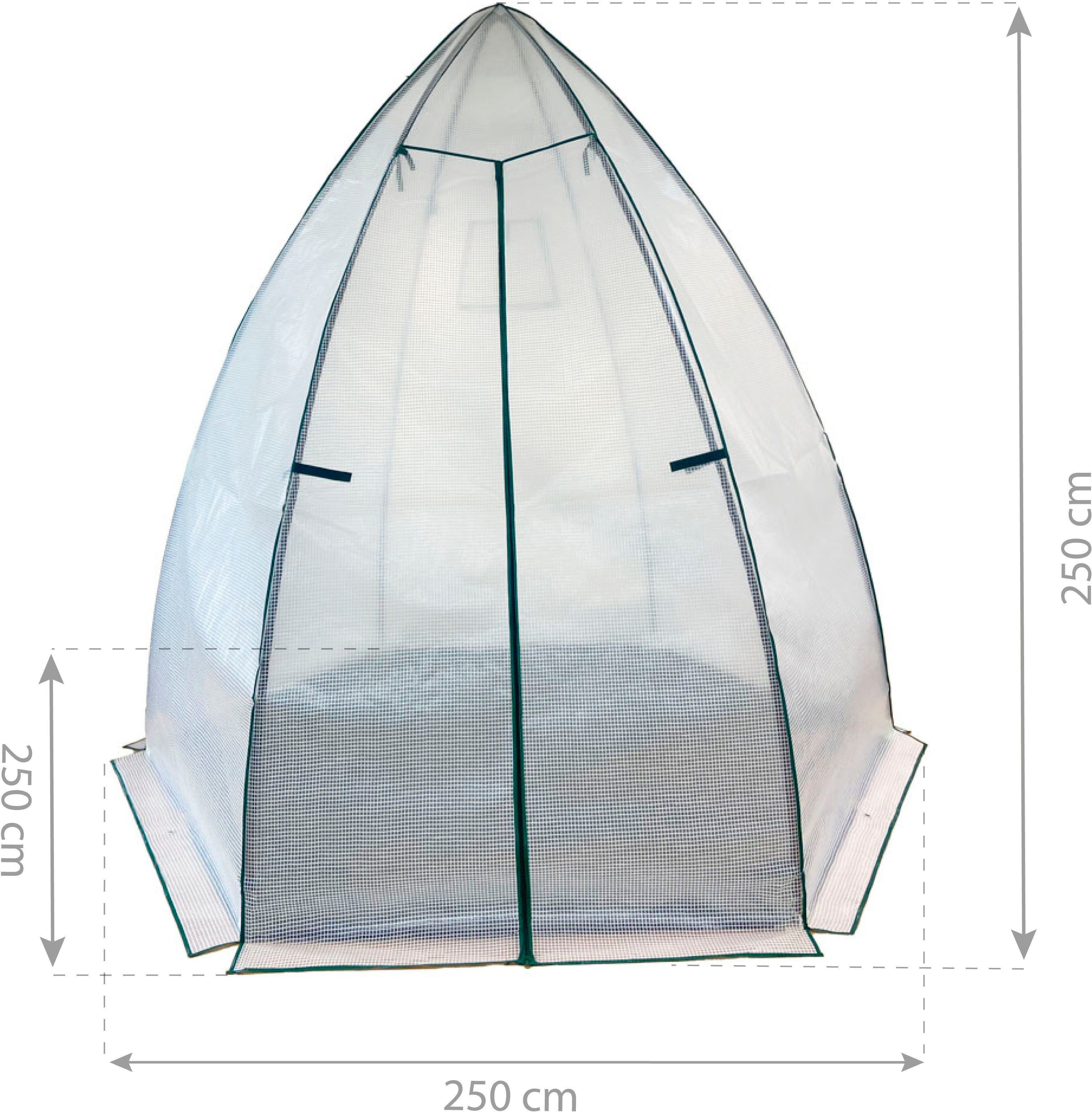 50NRTH Foliengewächshaus Avocado, BxTxH: 250 x 250 x 250 cm, Überwinterungszelt