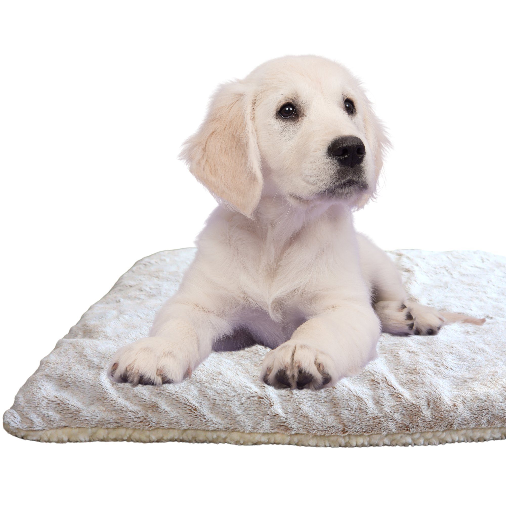 Angel's Pride Tierdecke Wärmedecke Superior für Katzen und Hunde, 5-lagig, kuschelig & warm, Plüsch+Wollvlies, extra dick mit 3 Layern, Thermo- sowie Füllvlies + Thermomatte