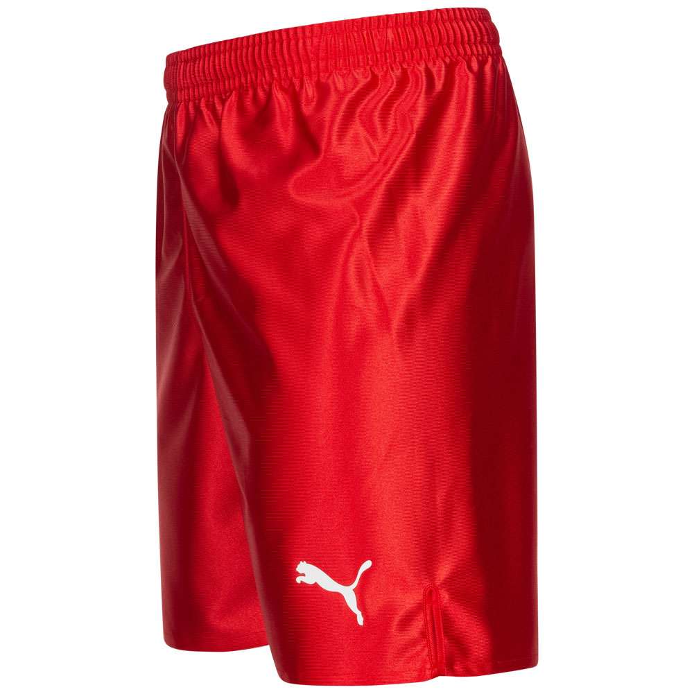 PUMA Game Herren Glanz Shorts 900410-03