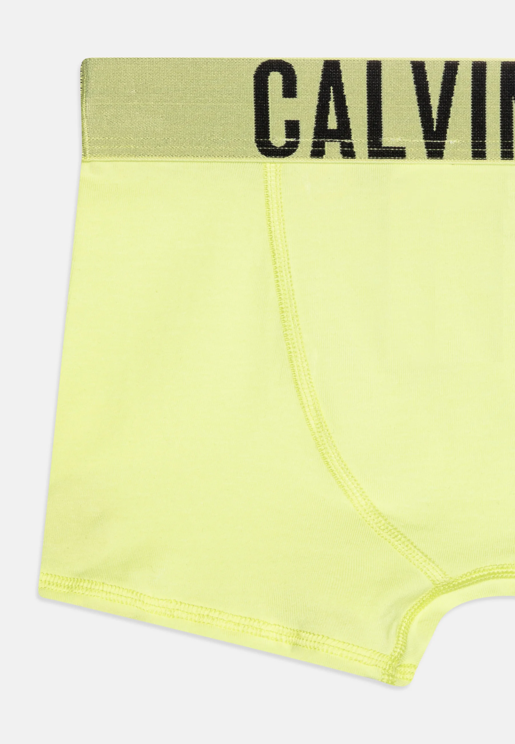 Calvin Klein Underwear TRUNK PACK DE 2 - Culotte