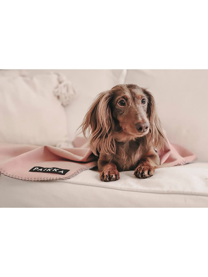 Paikka Recovery-Hundedecke in Rosa günstig kaufen 70x100 cm