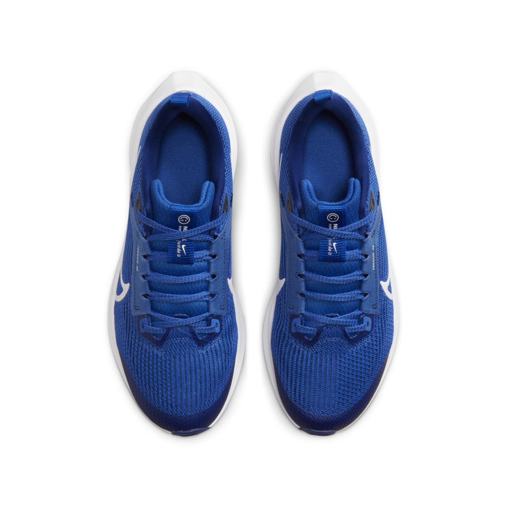 Nike Air Zoom Pegasus 40 DX2498-400 / blau