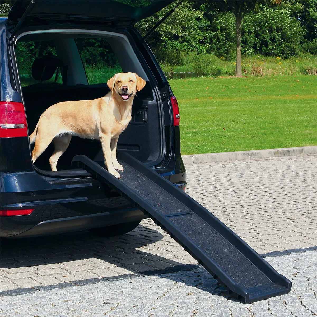Trixie Petwalk Klapprampe | Rückläufer kaufen bei ZooRoyal
