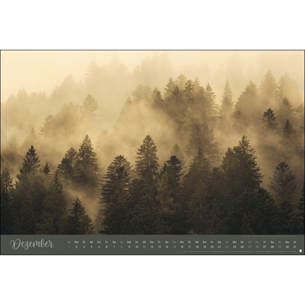 ZAUBERWÄLDER EDITION KALENDER 2024. WANDKALENDER XL - Kalender