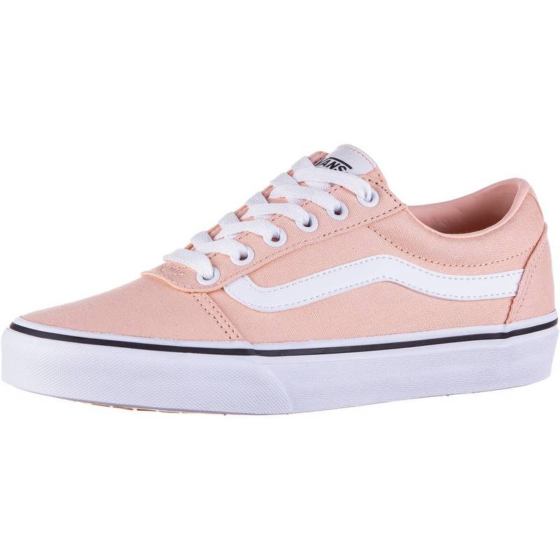 Vans Ward Sneaker Damen