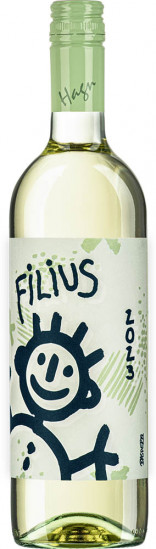 2023 Filius Grüner Veltliner trocken - Hagn