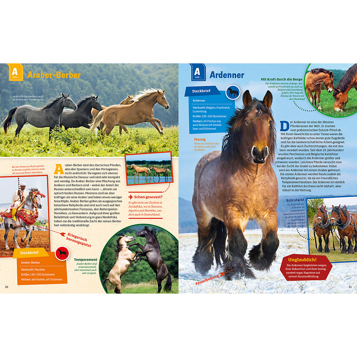 Was ist Was: Pferde und Ponys
