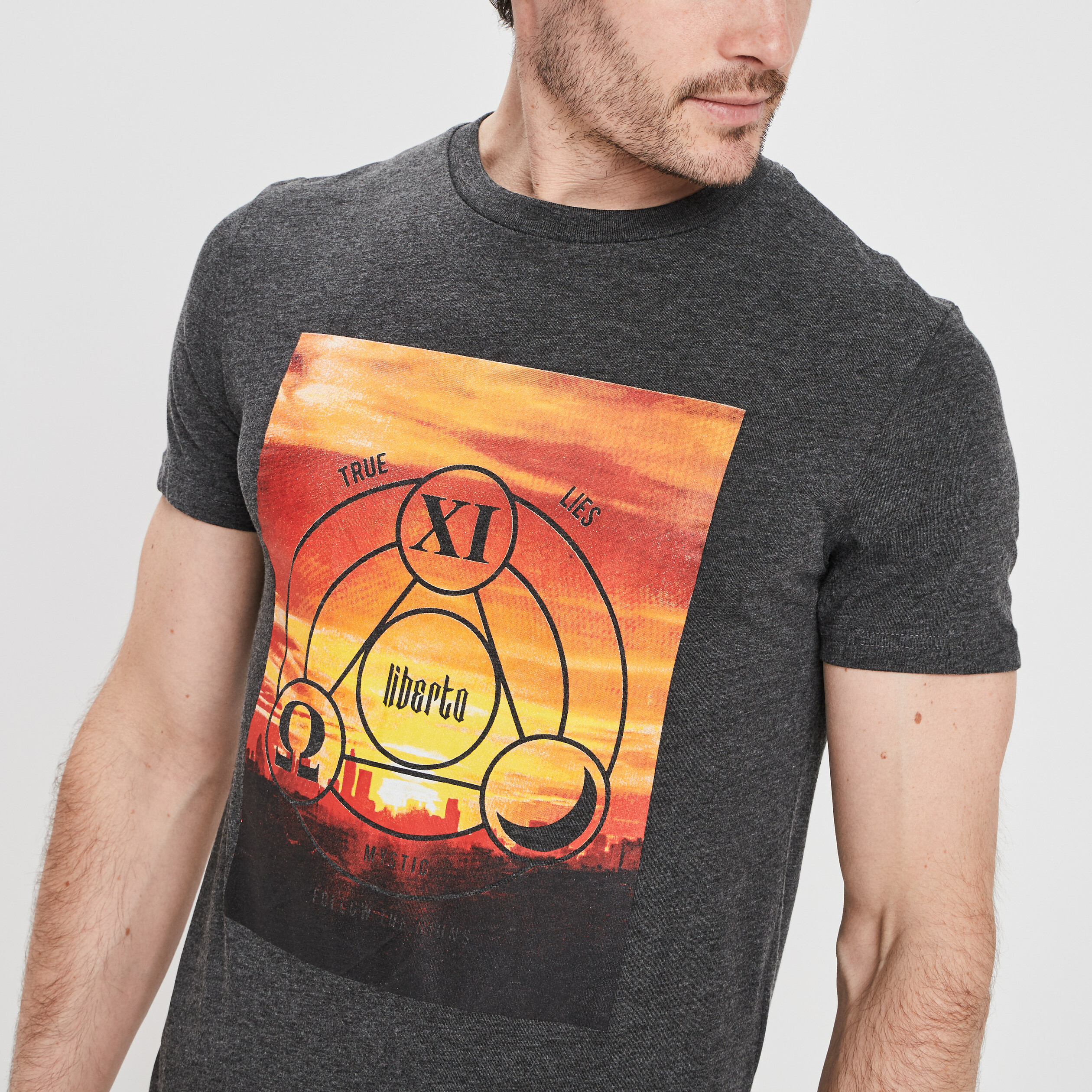 T-shirt Liberto gris foncé homme | La Halle