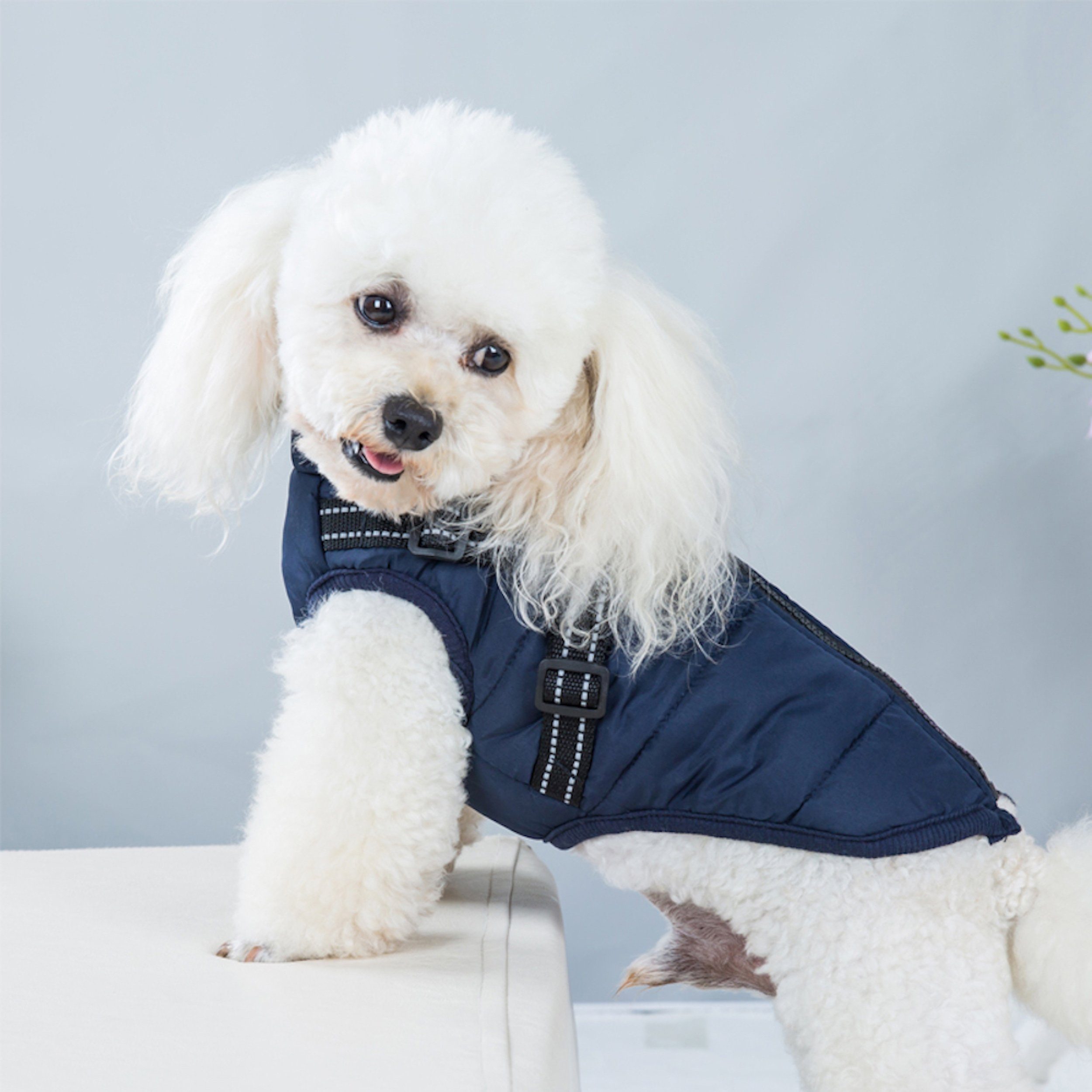 Mate for dogs Hundemantel Hundejacke Haustier Weste mit Brustgeschirr Gurt gefüttert, in verschiedenen Größen