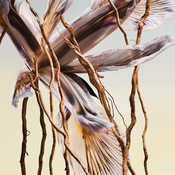 Eau de Parfum Spray