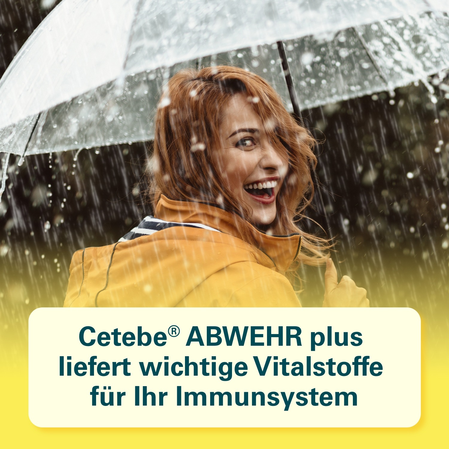 ABWEHR plus Vitamin C+Vitamin D3+Zink Kaps.