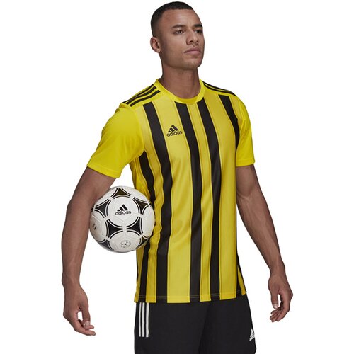 HERREN TRIKOT STRIPED 21
