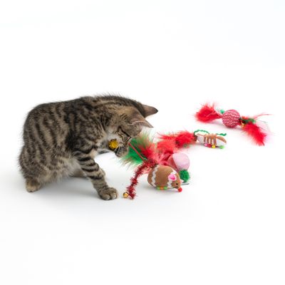 TIAKI Weihnachtliches Spielzeug-Set für Katzen