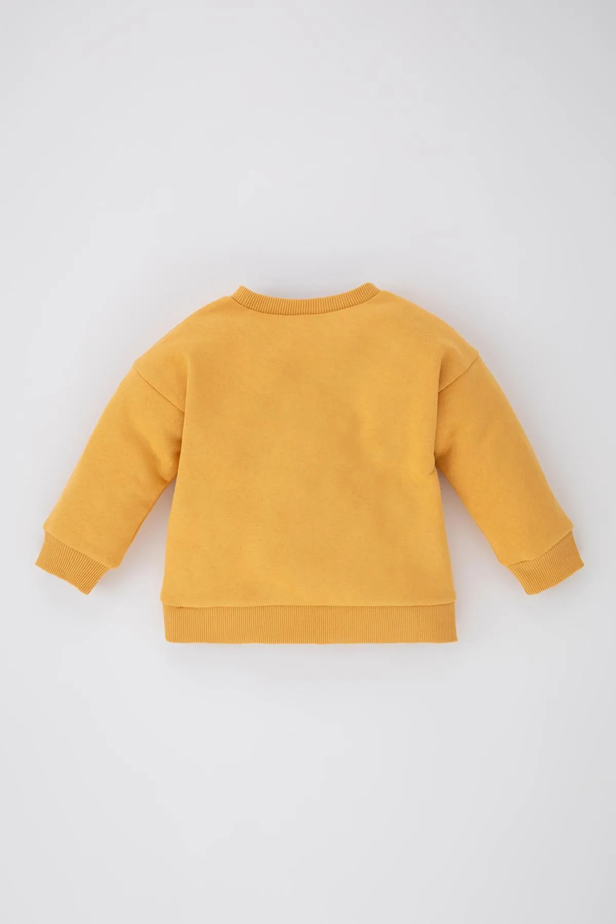 DeFacto  Weich gefüttertes Sweatshirt mit normaler Passform für Babys (Jungen).
