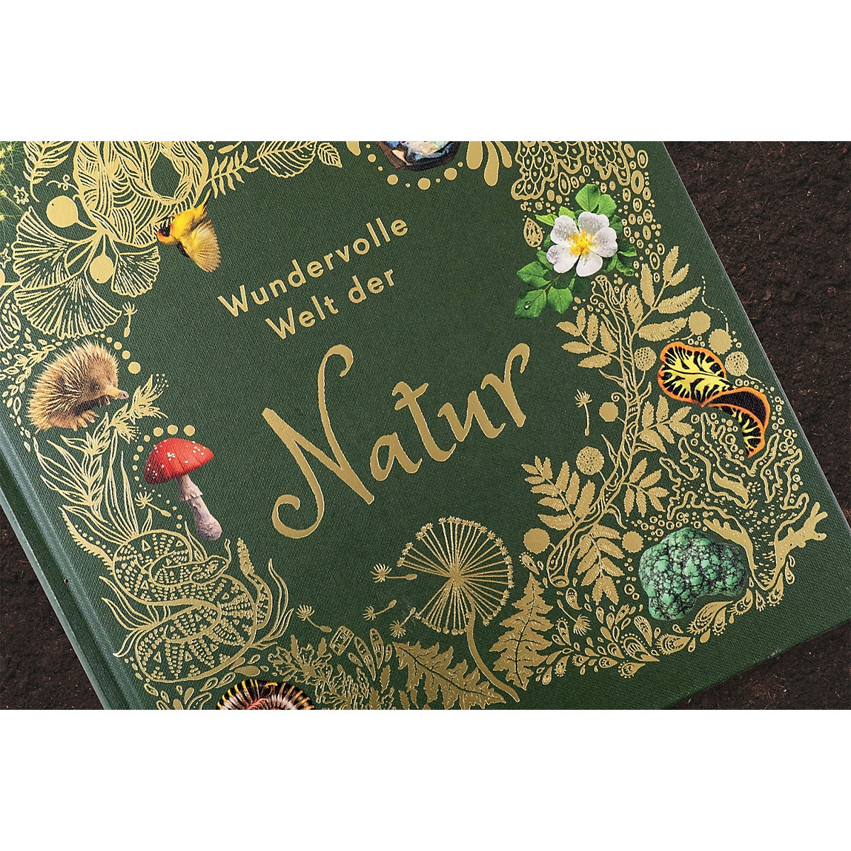 Wundervolle Welt der Natur