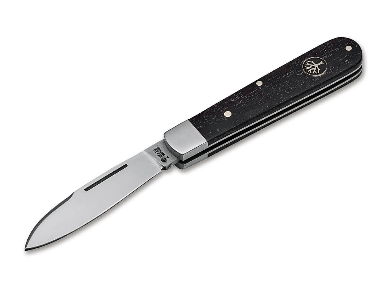 Barlow Prime Hainbuche