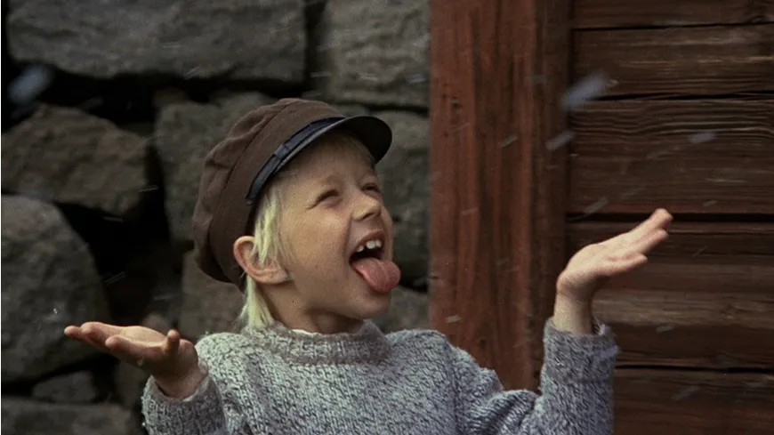 Pippi Langstrumpf & Michel aus Lönneberga - Spielfilm Box  [7 DVDs]