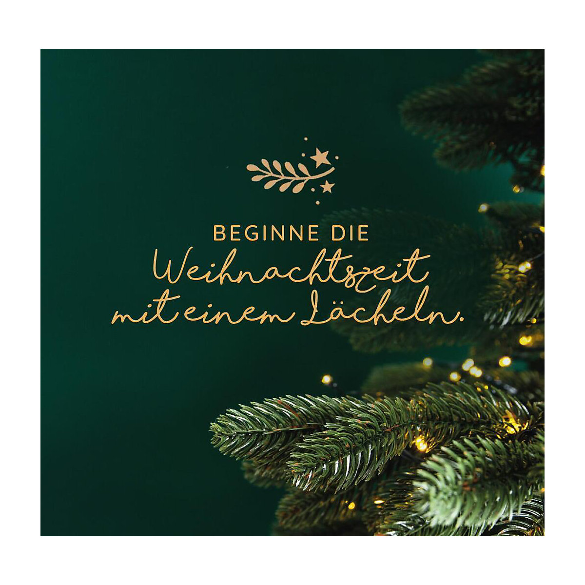 Winternacht und Schneegeflüster. Zauberhaftes zur Weihnachtszeit