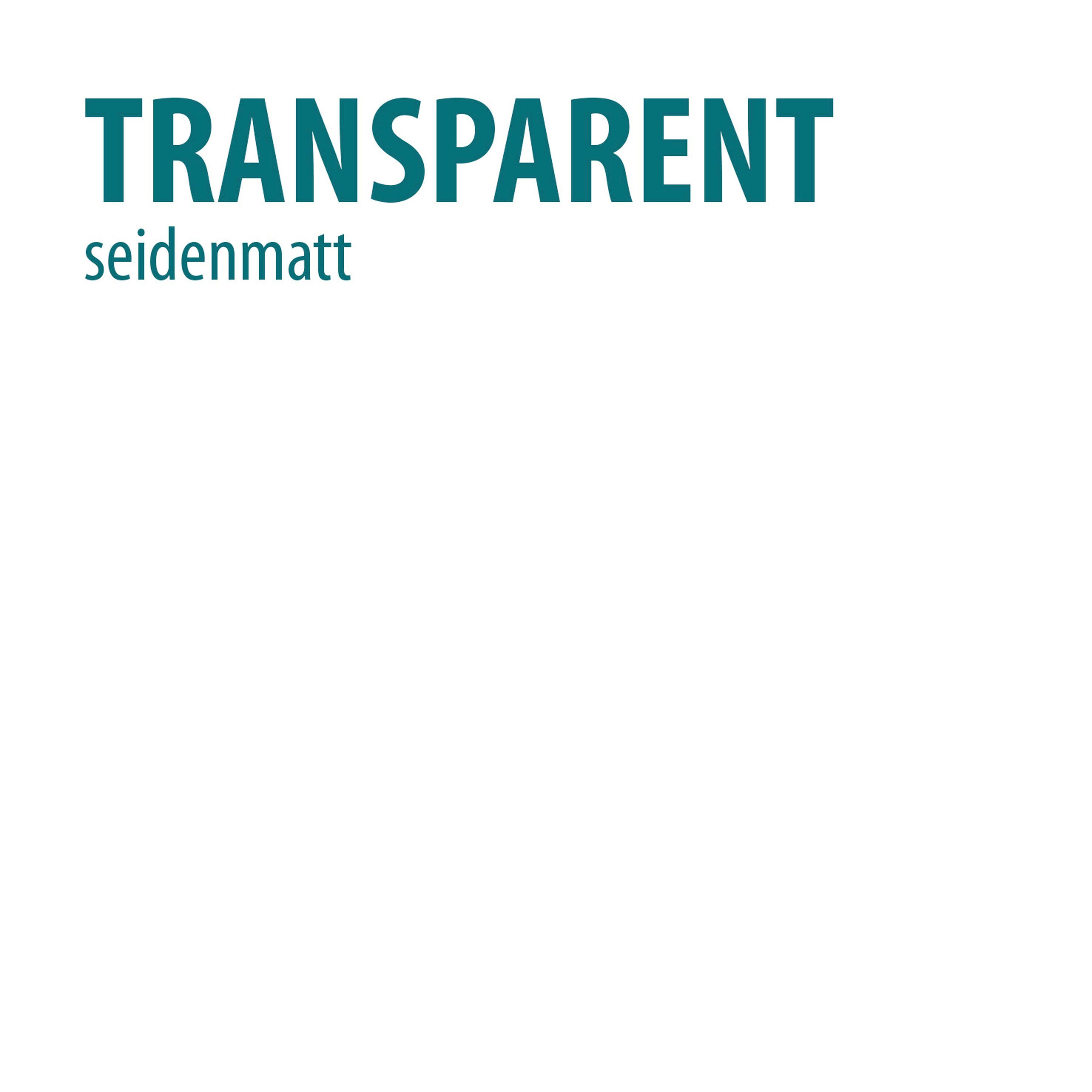 Baufix Wandfarbe Elefantenhaut Wand- & Tapetenschutz, abwaschbar, wasserbasierend, 2,5L, transparent seidenmatt