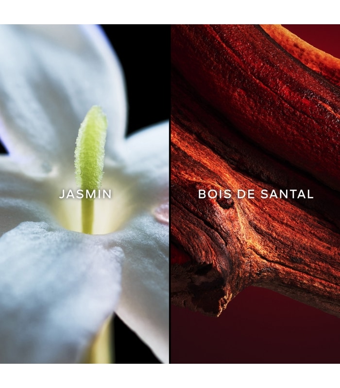 Guerlain-SAMSARA-Eau de Toilette