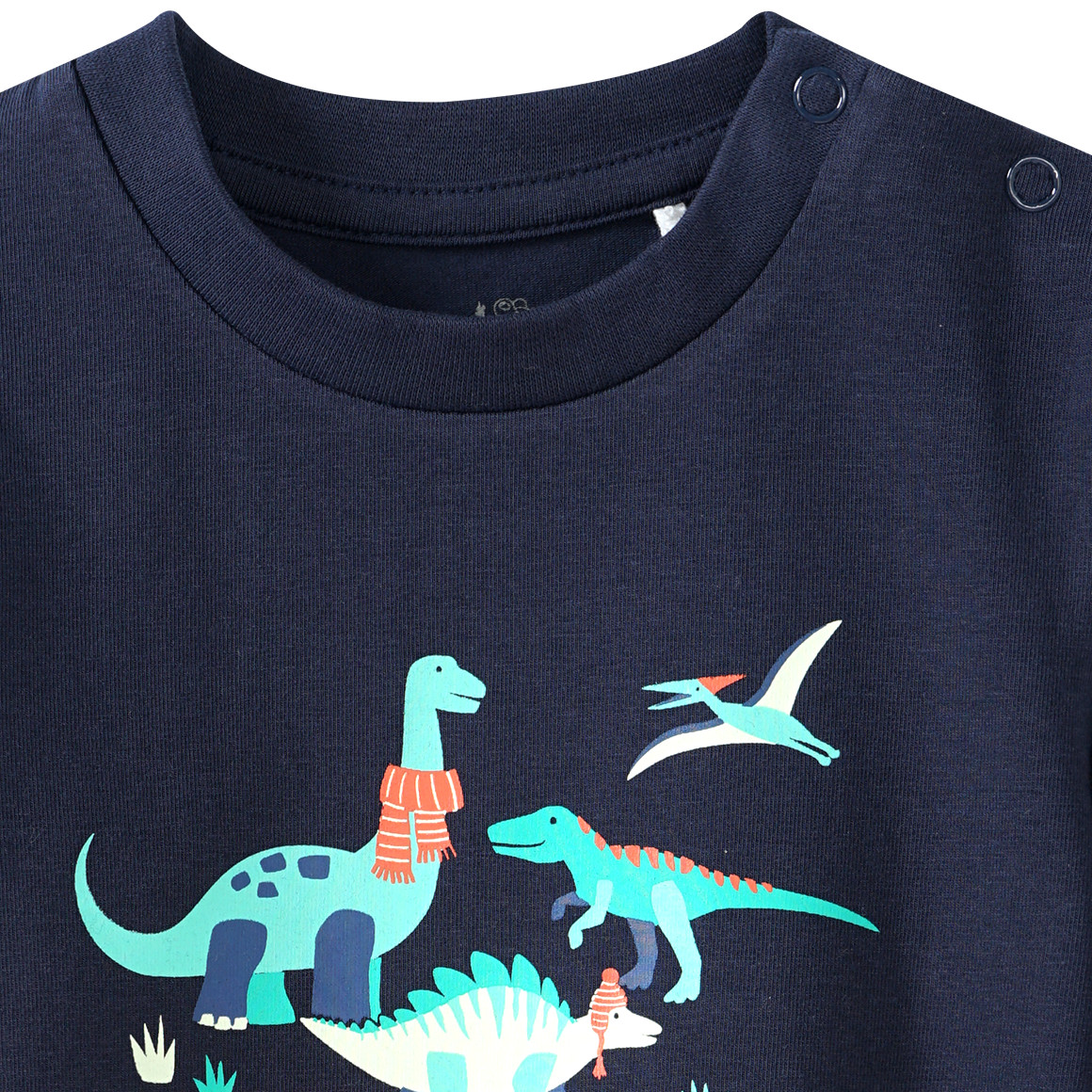 Baby Langarmshirt mit Dino-Print
