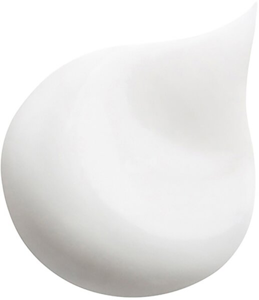 Hair Rituel by Sisley Soin Lavant Revitalisant Disciplinant Shampoo
