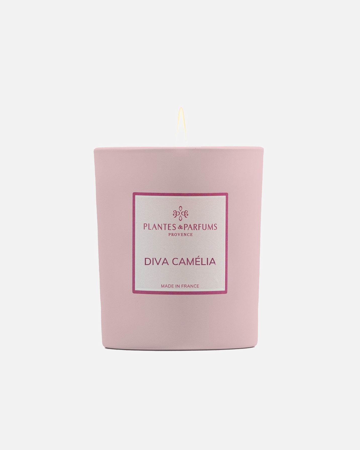 Rośliny i perfumy Diva Camellia